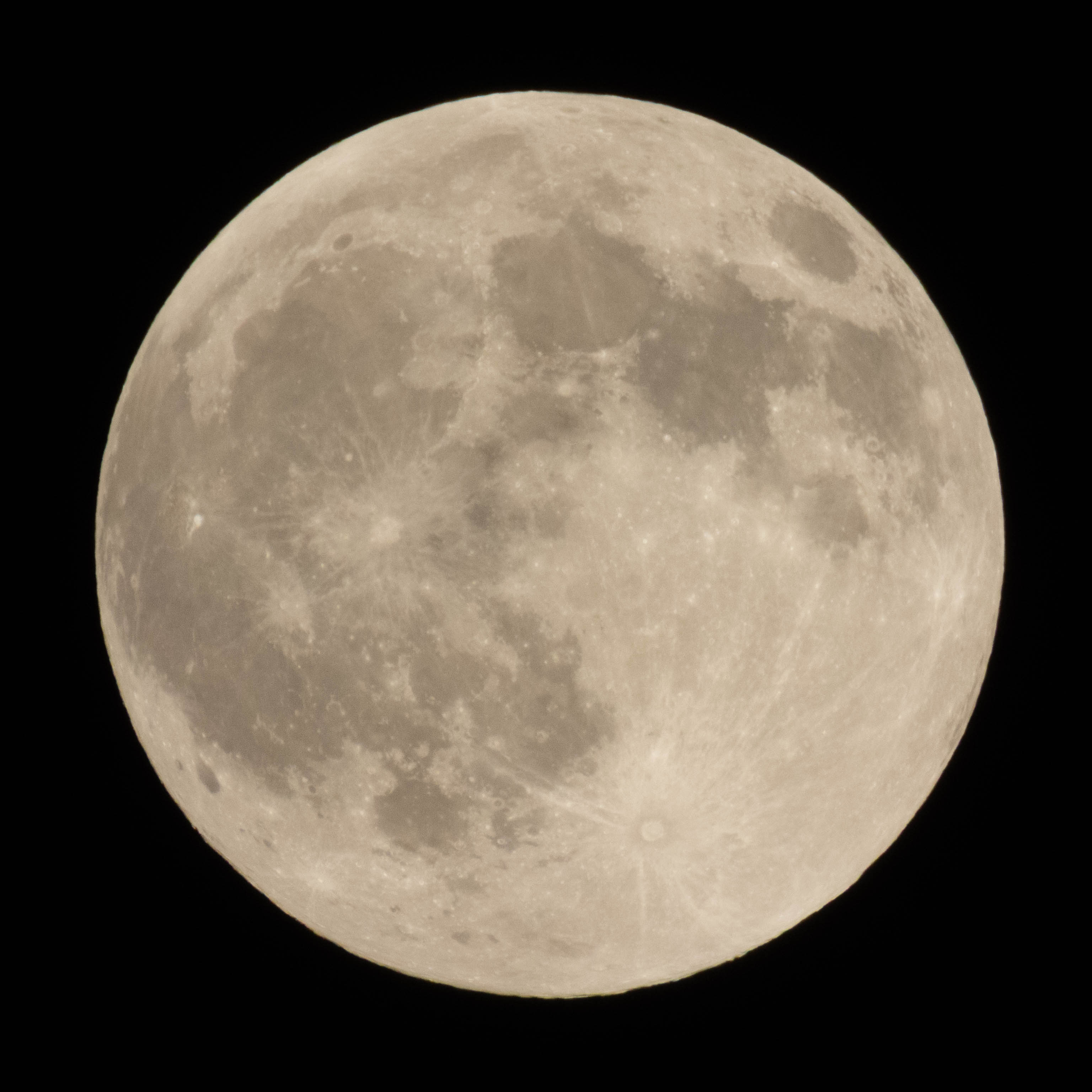 Moon, close cropped and clear -- October 2025 Harvest Moon