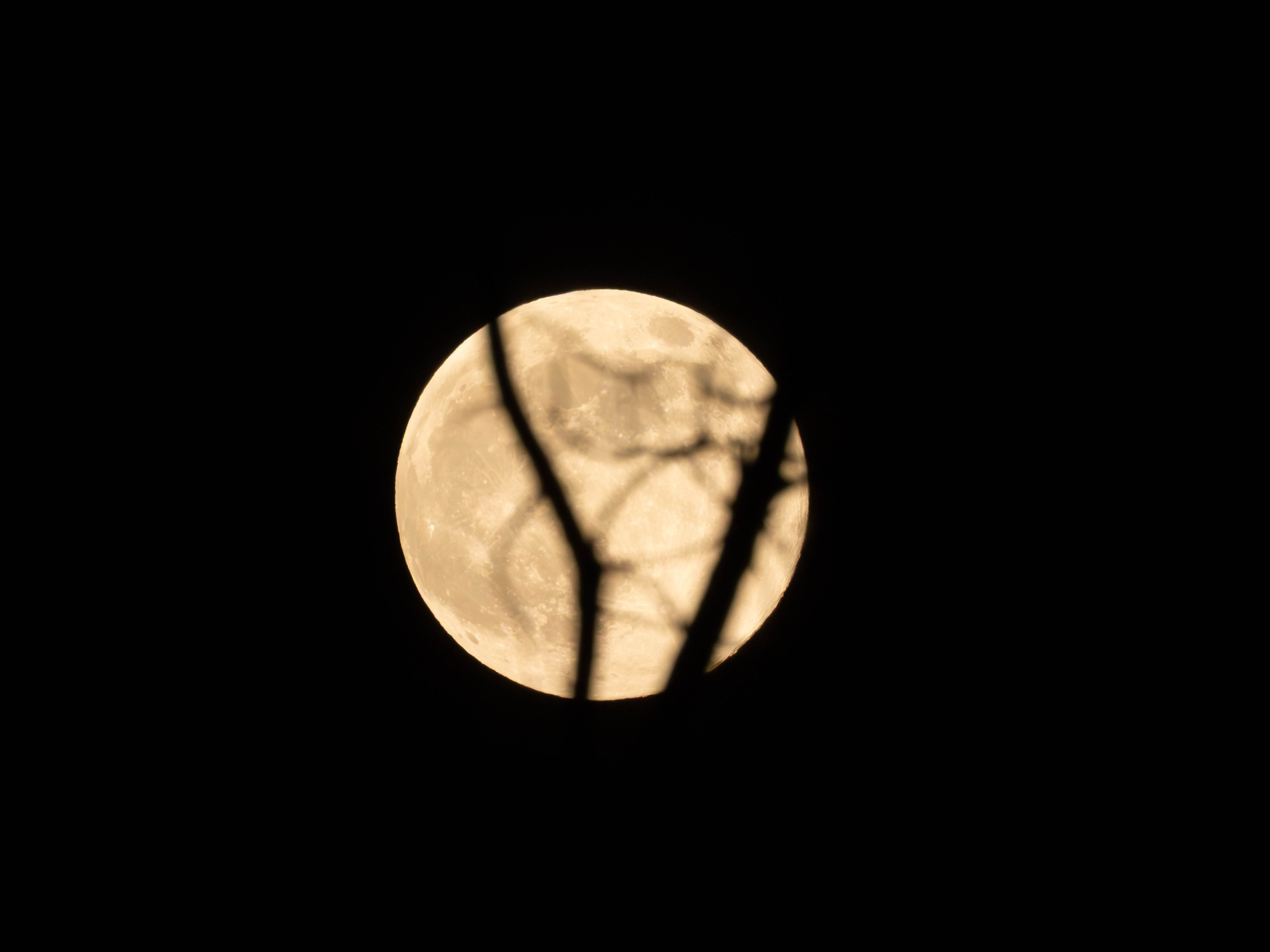 The moon