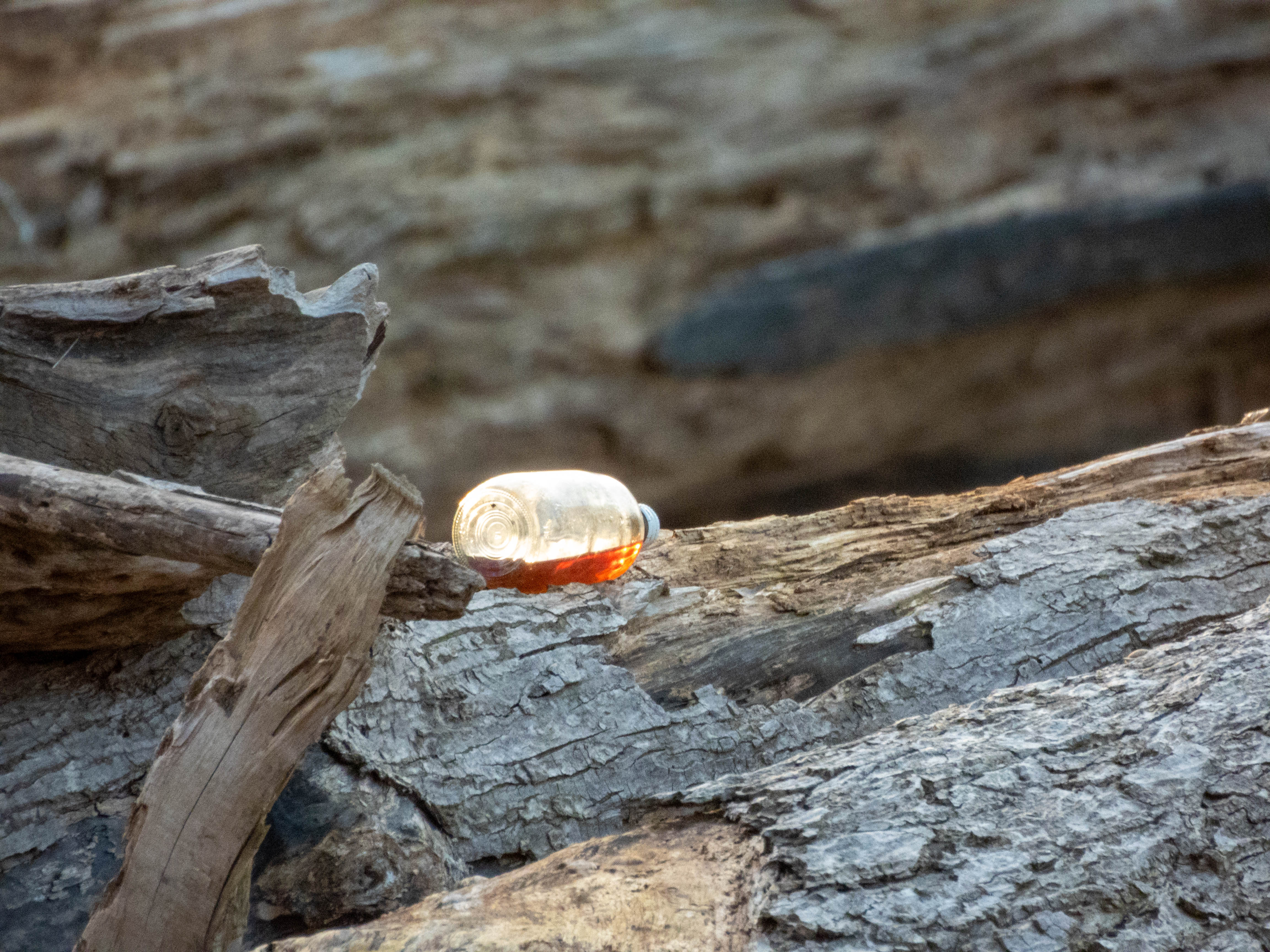 Bottle on a log