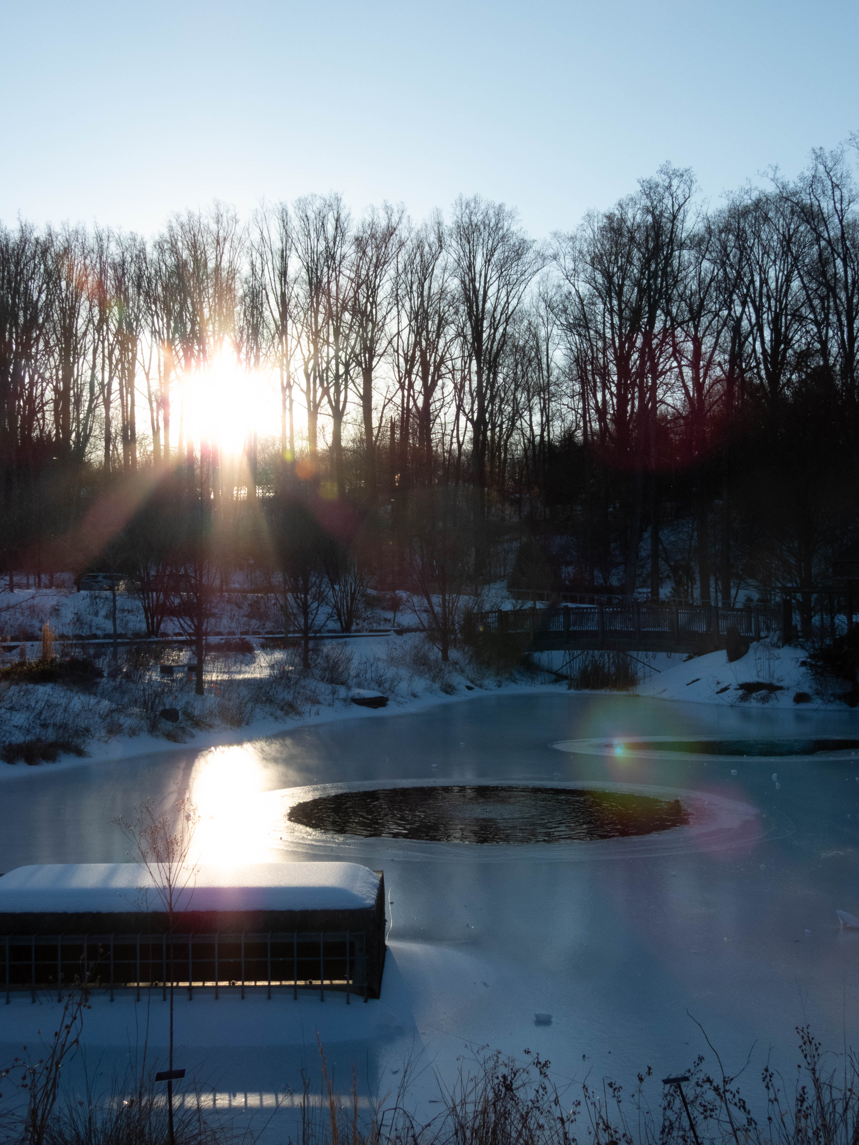 Sunset at Brookside Gardens