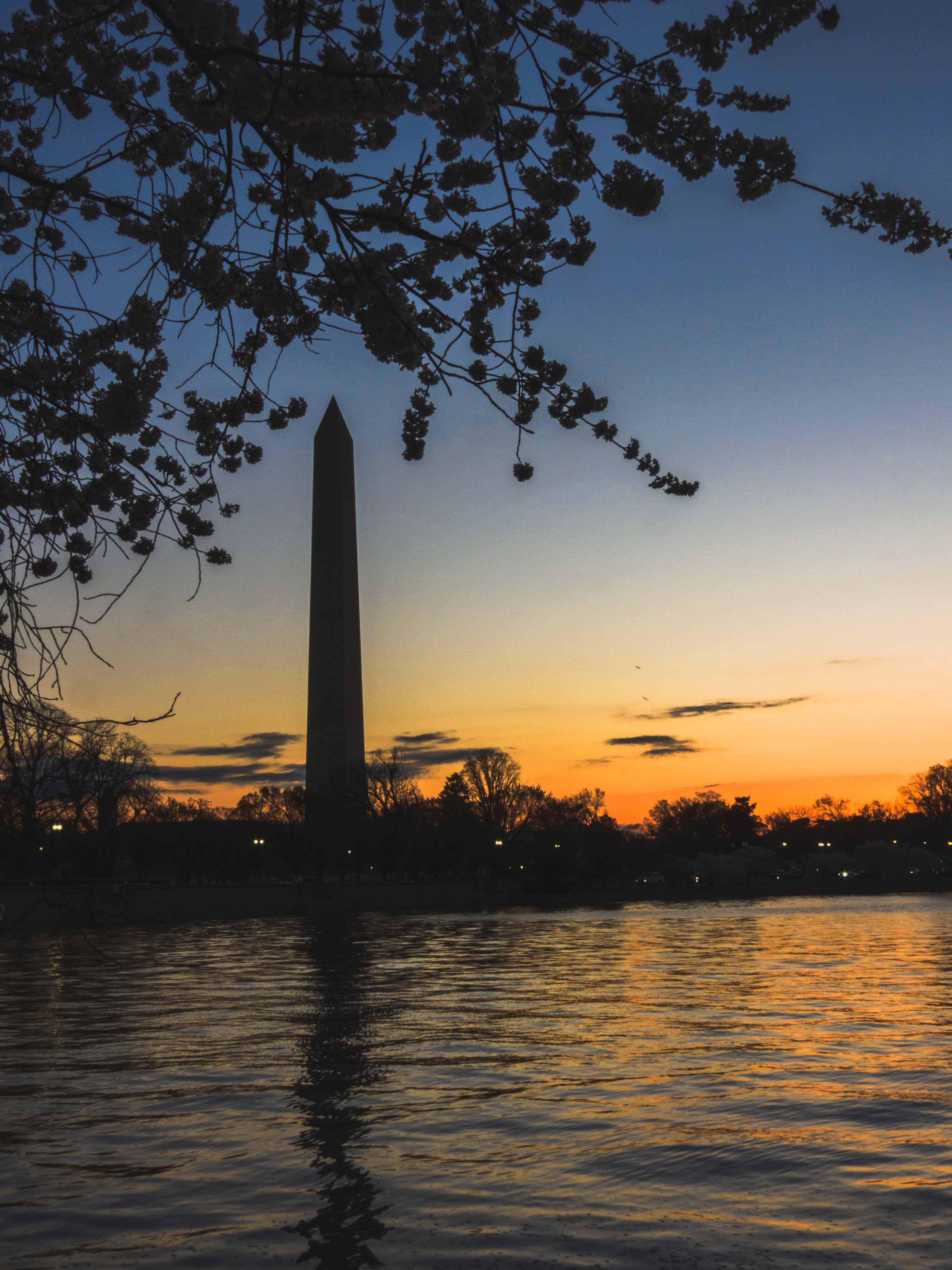 Sunrise over the Tidal Basin