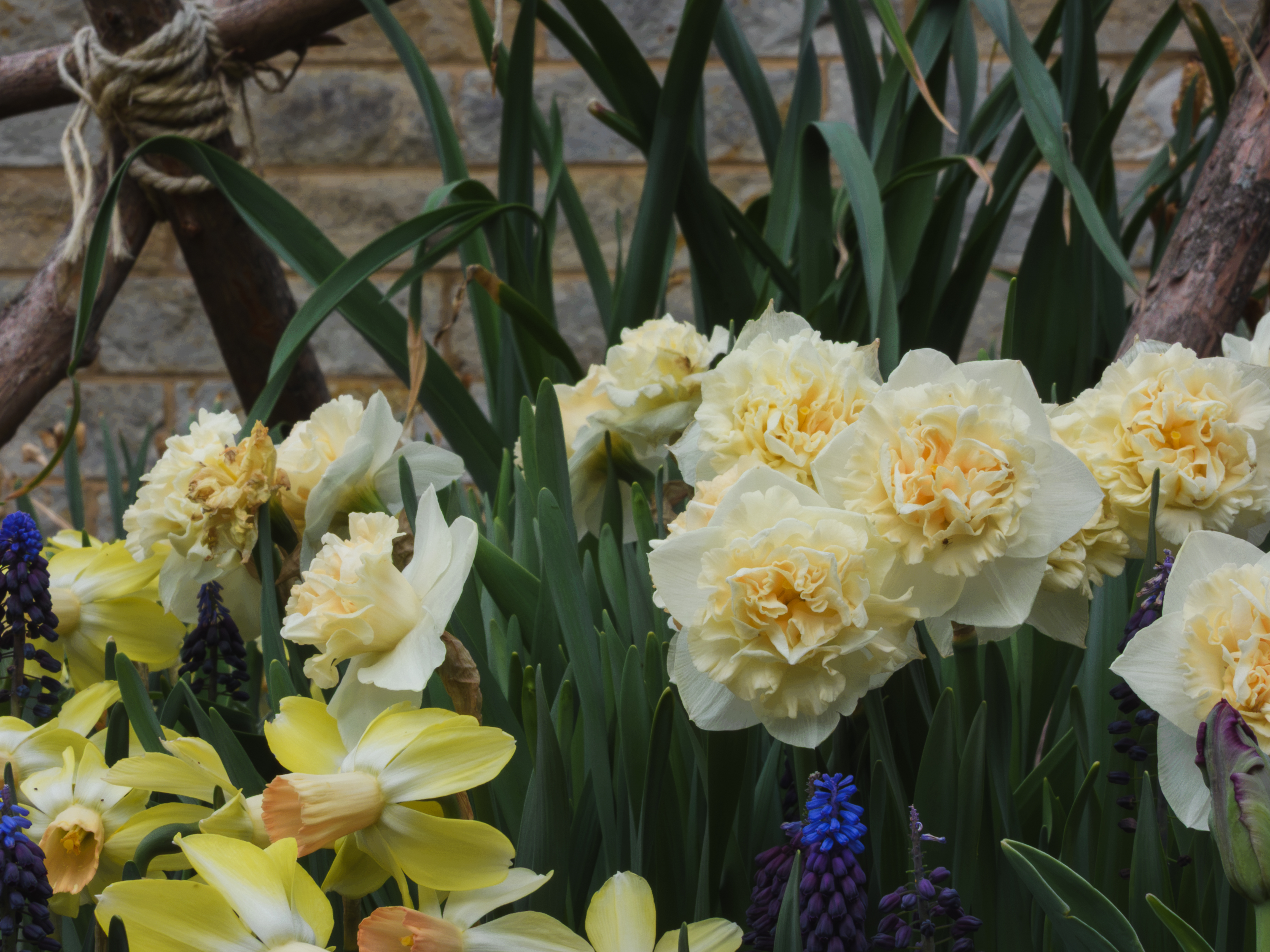 Flowers!