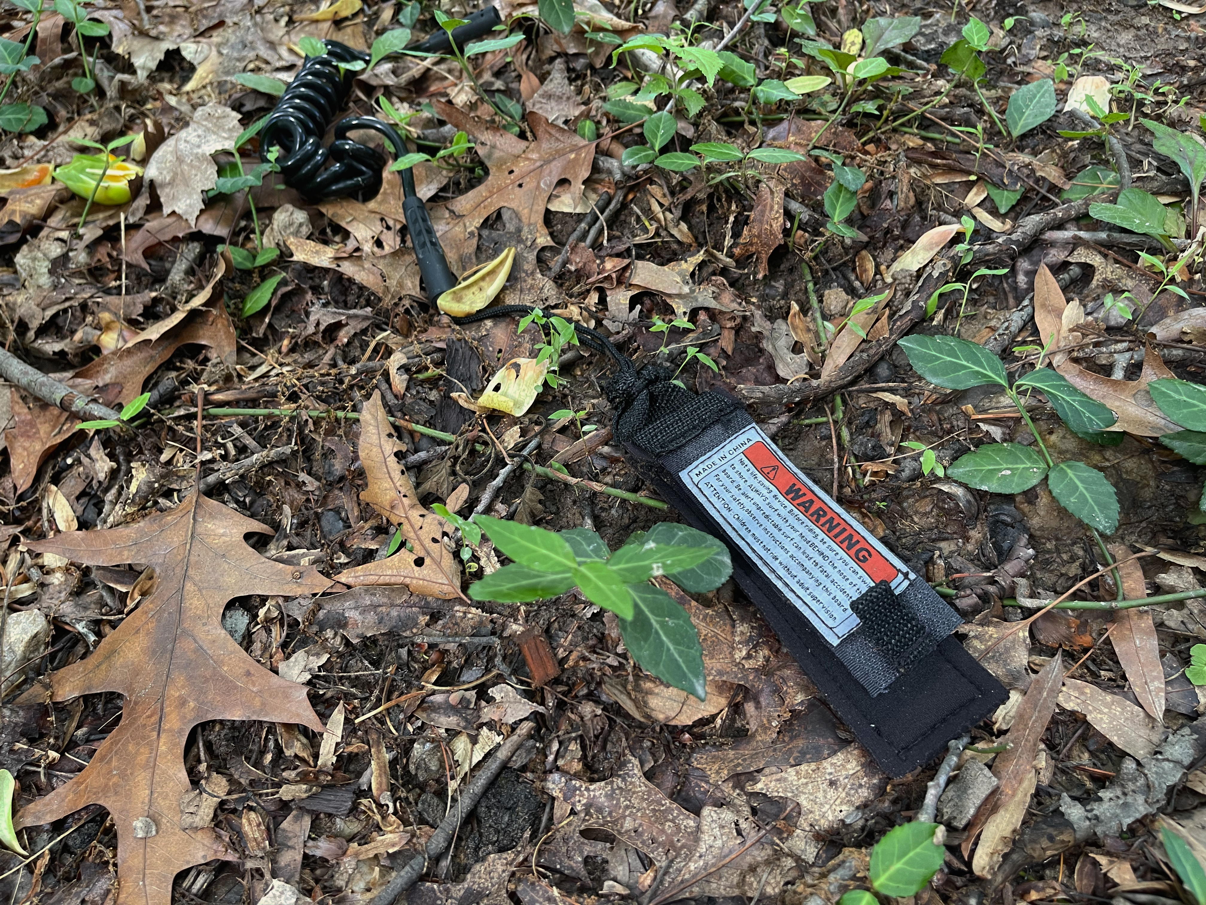 Thing I came across during a walk