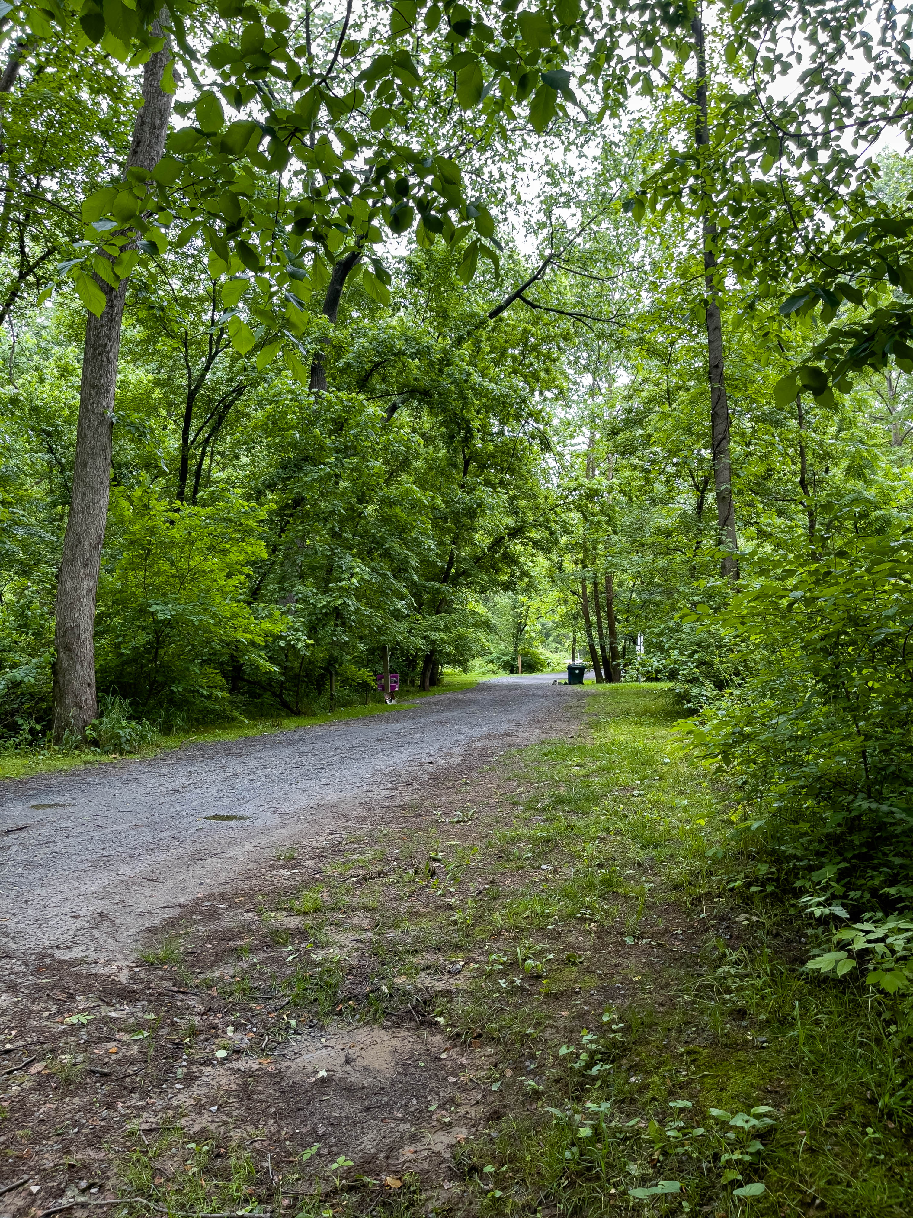 Gravel road leading to the Robert C. McDonell Campgrounds
