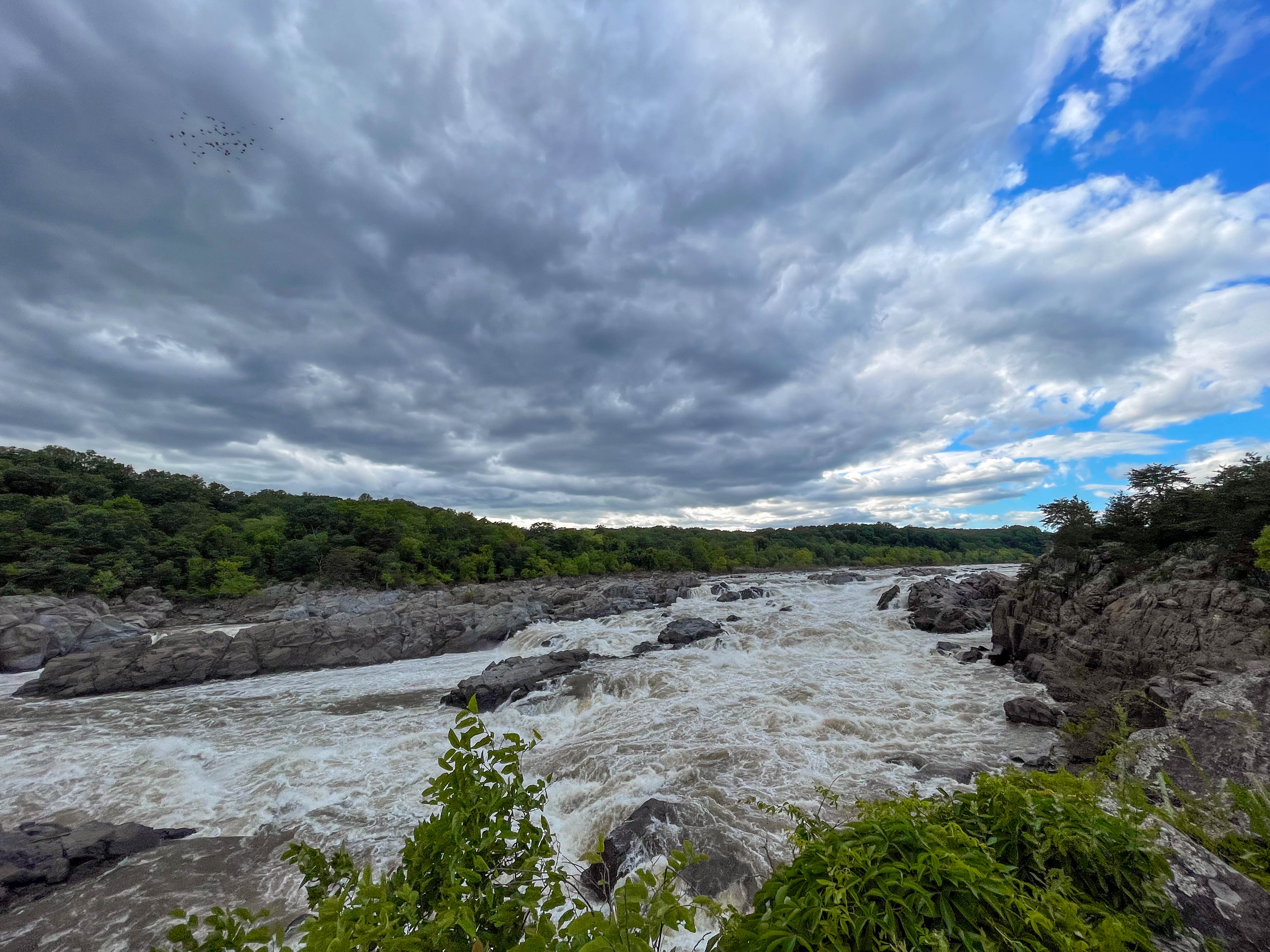 The Great Falls Overlook! This was taken right after a bunch of rain, so the river was more powerful than usual.