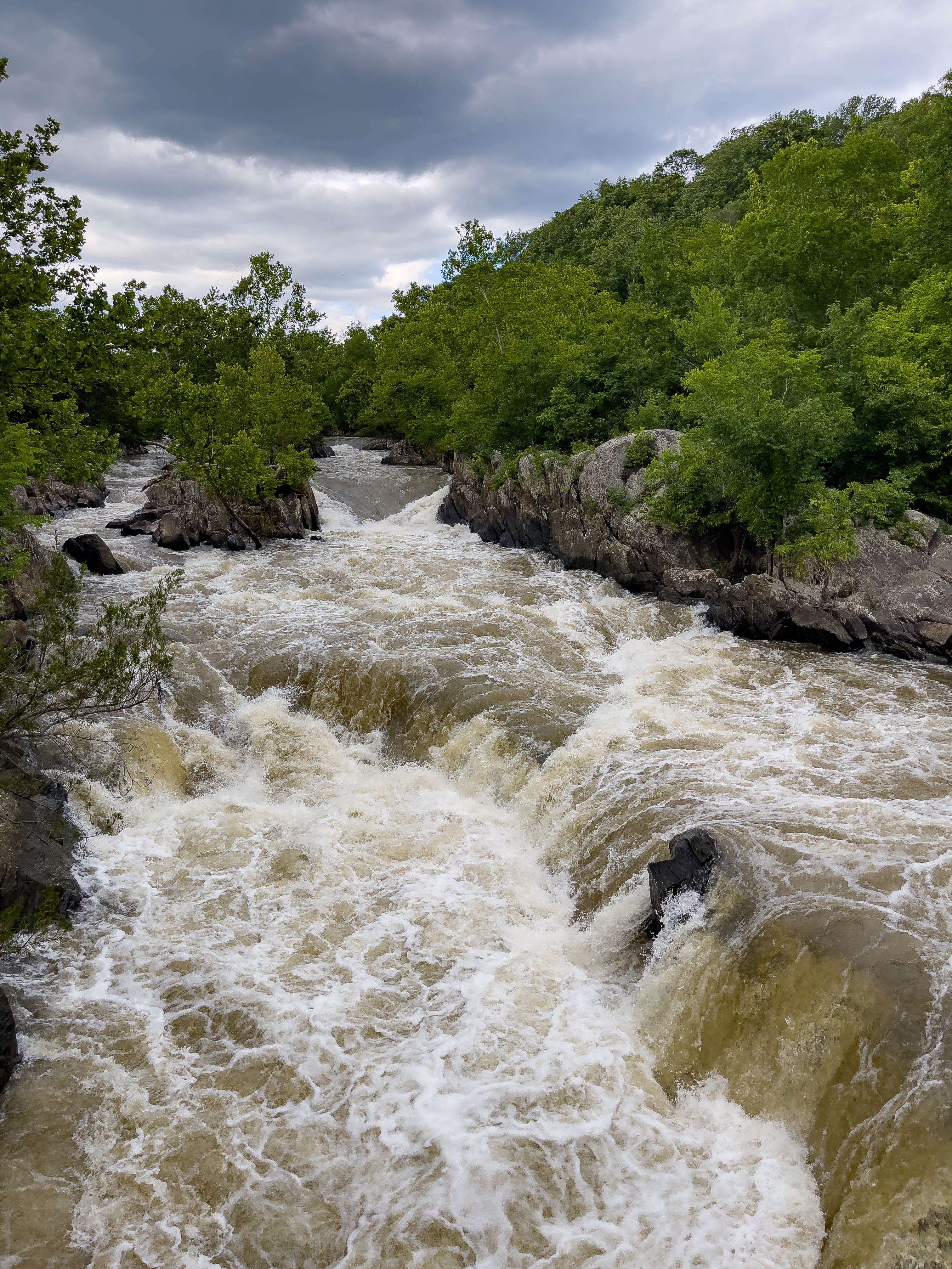 Converging waterfall that I thought was cool