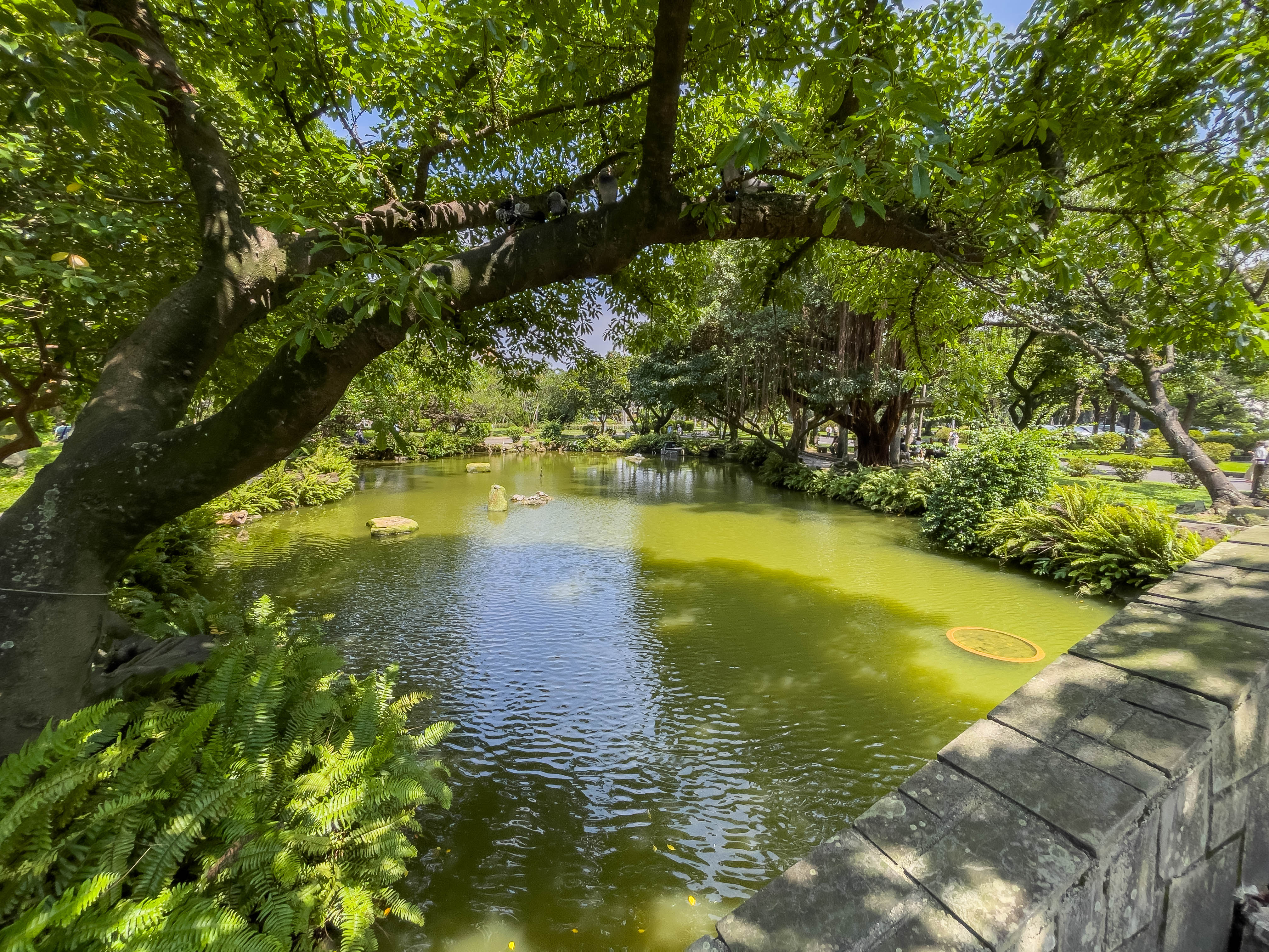 二二八和平紀念公園 (228 Peace Memorial Park)! I spent a lot of time here when I was in Taiwan, made me feel calm and comfortable.