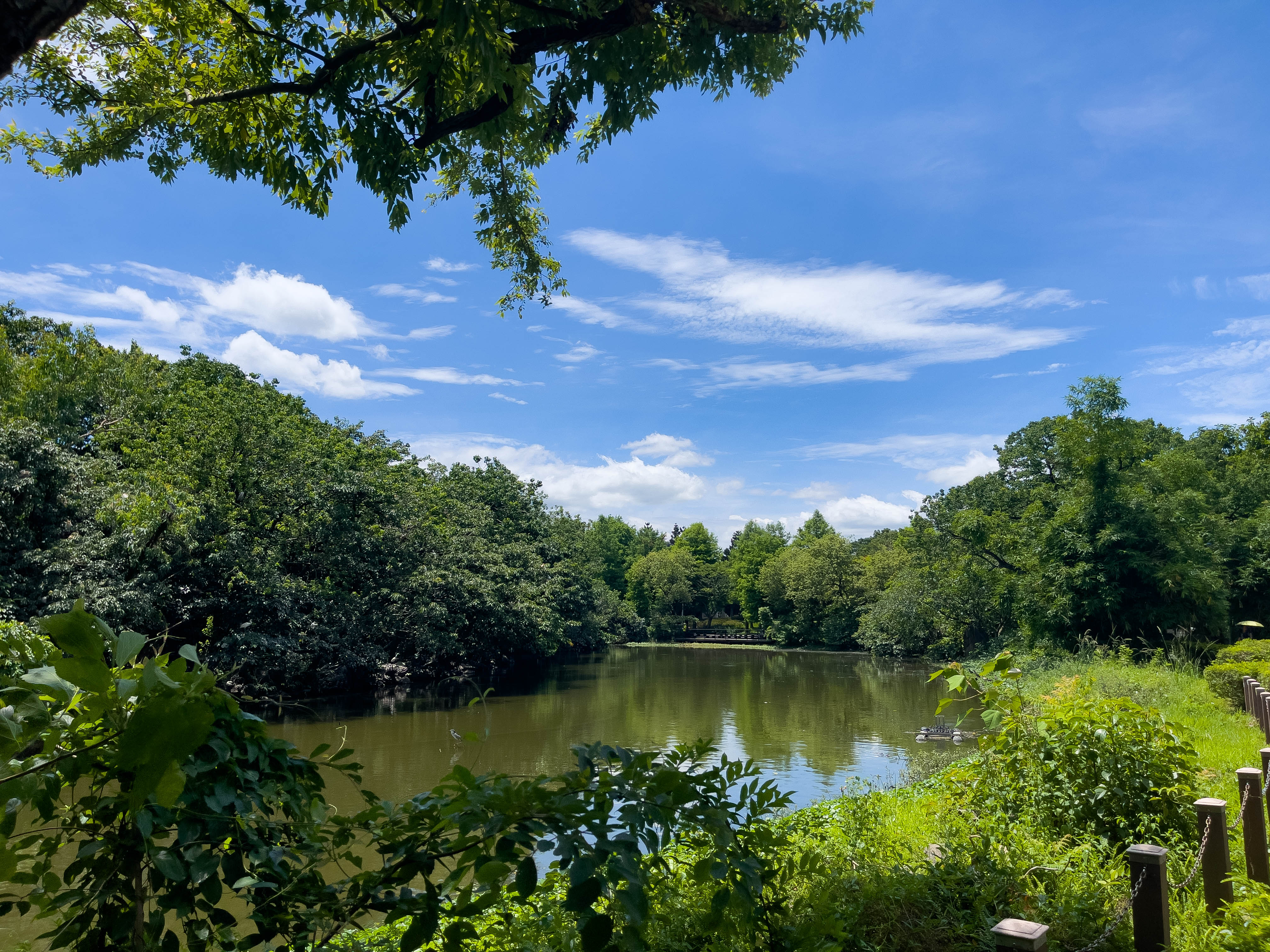 Part of the lake from Daan park in Taiwan