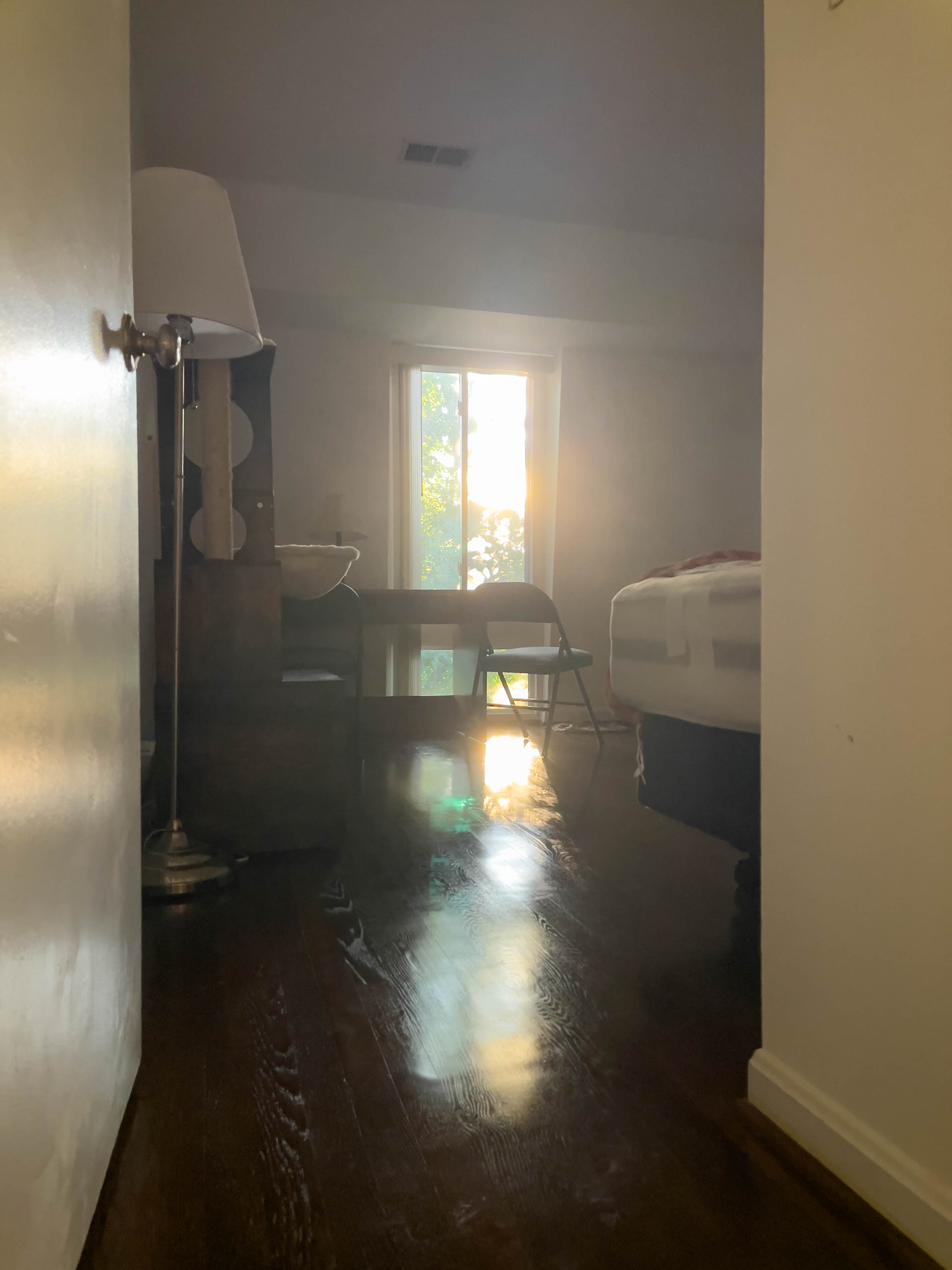 Room in the morning light