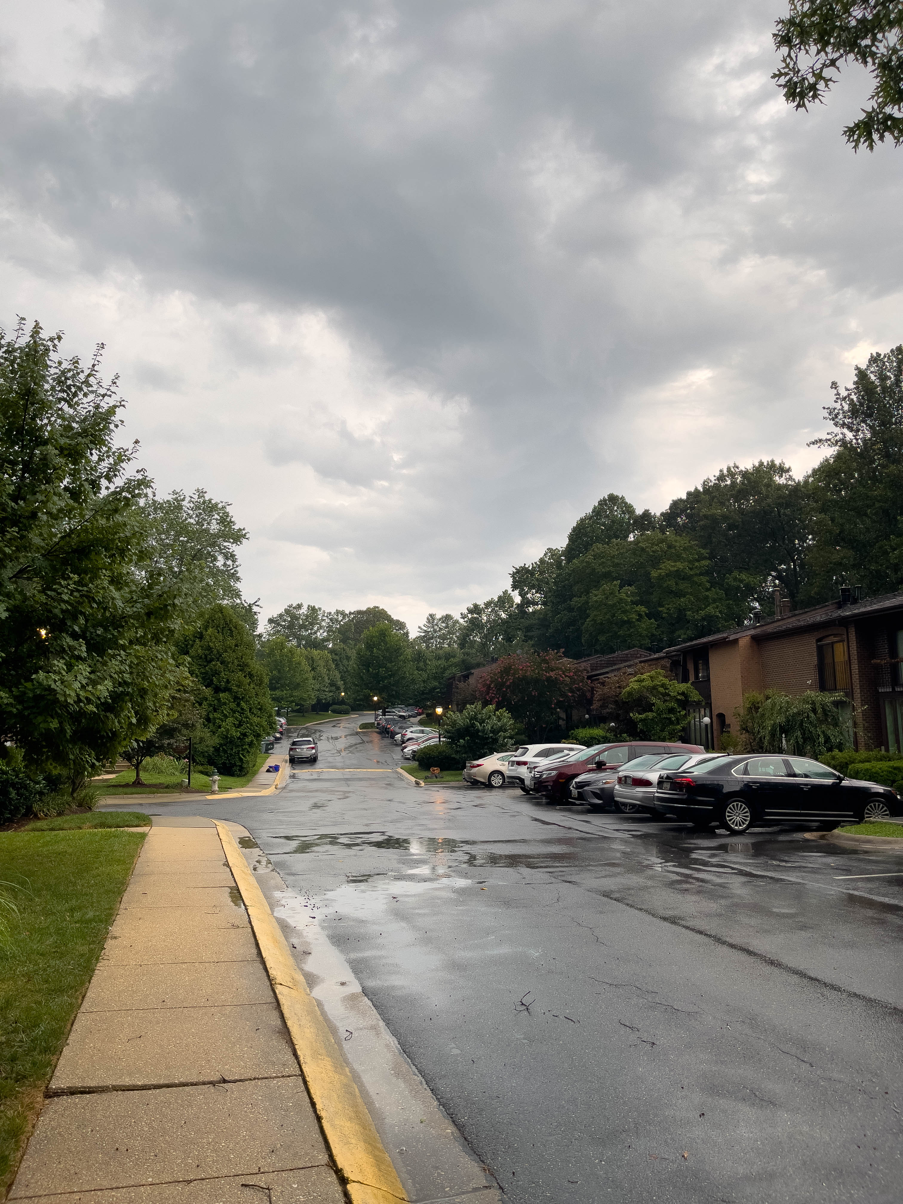 Rainy day